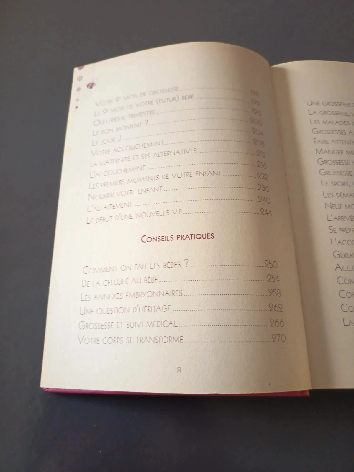 Boek De bijbel van de zwangerschap – photo 6